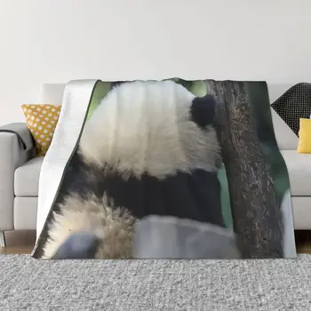 Huahua Panda Animal Blanket Soft Plush All-Season Comfort Throw Antklodės lengvoms priežiūros mašinų kelionėms
