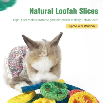 Pet Molars Natural Loofah spalvų valymas Lufos griežinėliai Žiurkėno šinšilos moliniai žaislai Užkandžiai Įkandimui atsparūs smulkūs gyvūnų reikmenys