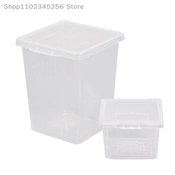 Plastikinis šėrimas Akrilo dėžutė Vabzdžių voras Buveinių šėrimo dėžutė Transporto perinti skirtas bakas